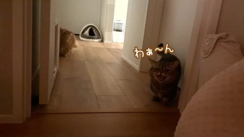 ドアの前でわぁ〜ん