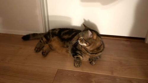 横を向くメルくん
