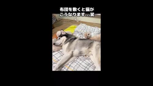 背中合わせ