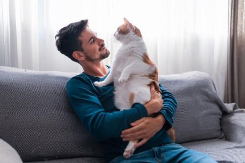 ソファで猫を抱く男性