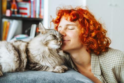 猫の顔を寄せる女性