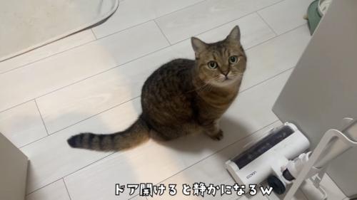 「ドア開けると静かになるｗ」のテロップ写真