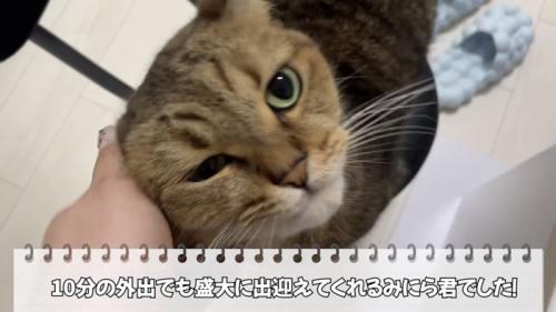 「10分の外出でも...」のテロップ写真
