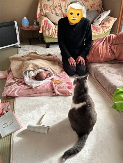 赤ちゃんとじいじと猫