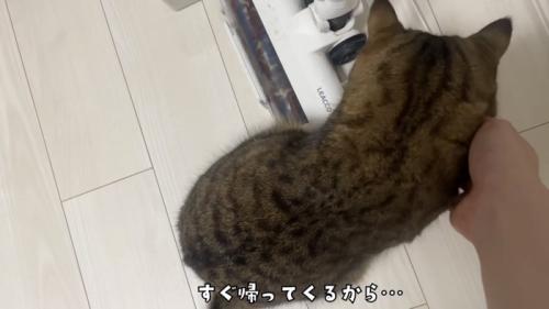 「すぐ帰ってくるから...」のテロップ写真