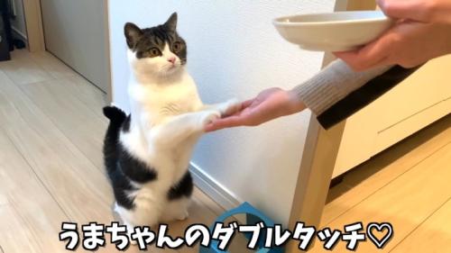 ダブルタッチ