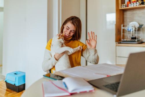 パソコンを前にした女性と猫