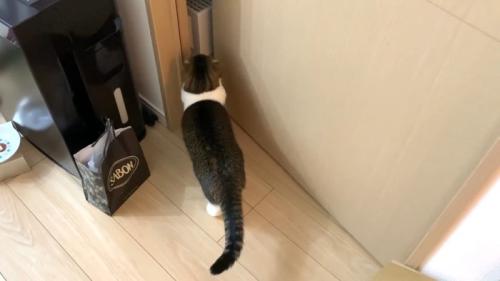 少し開いたドアの前で