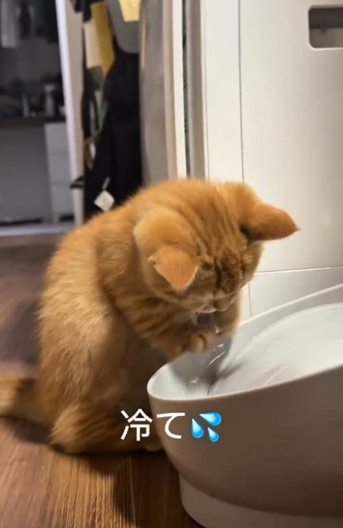 「冷て」と書かれた写真2