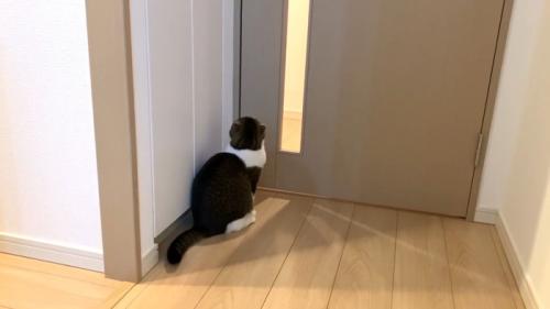 ドアの前で待機