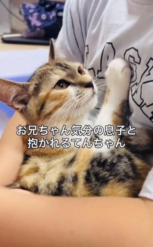 息子さんに抱っこされる子猫