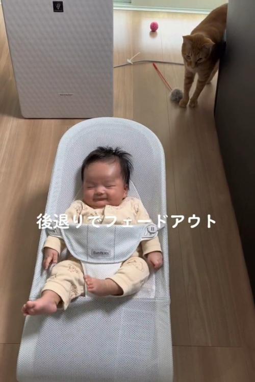 赤ちゃんの後ろにいる猫