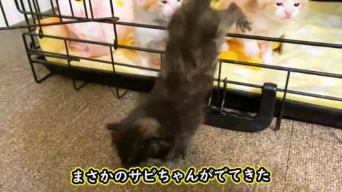 一番乗り