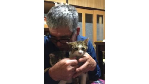 抱かれている猫