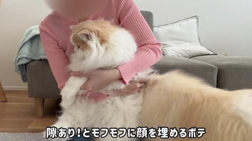 隙あり！