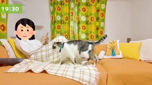 ソファにいる女性と猫