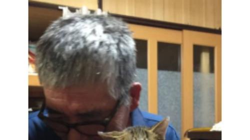 抱かれている猫
