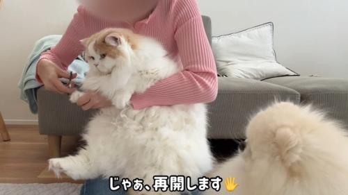 再開します