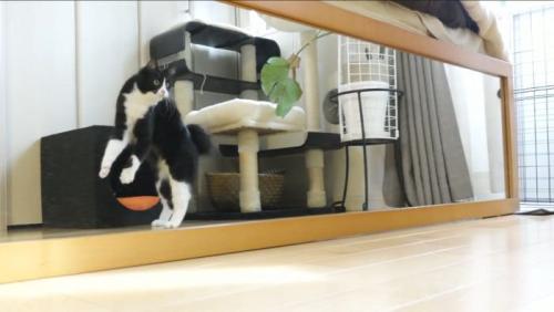自分の姿にびっくり