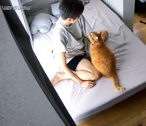 眠そうな飼い主さんを見つめる猫