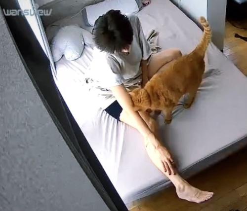 座ったまま眠る飼い主