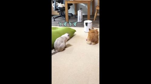 うずうず