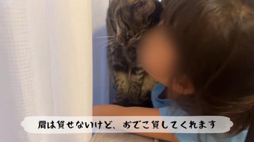 おでこ貸してくれます