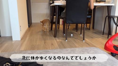毛づくろい
