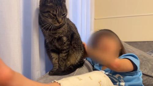なでなで