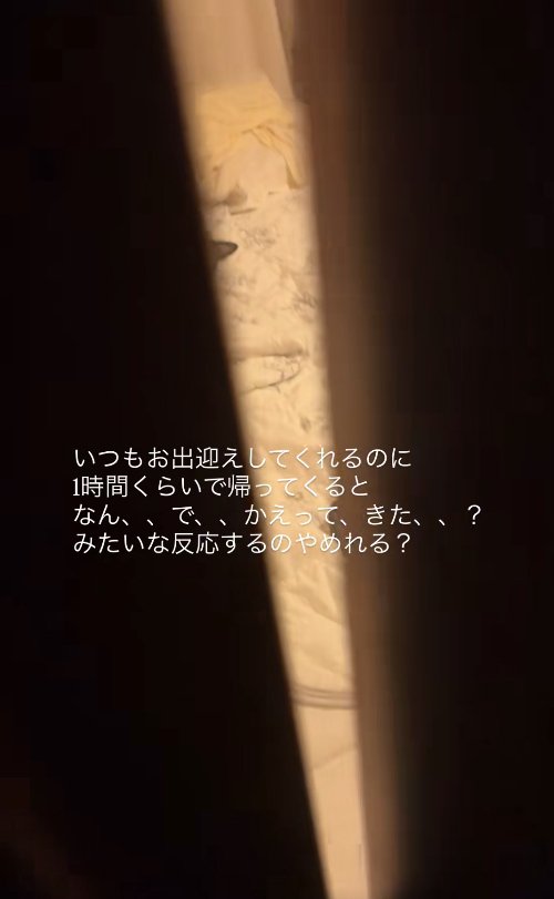 開きかけのドアから見える猫の耳