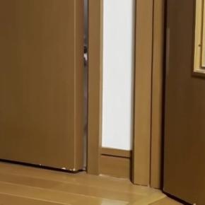 トイレのドアが開いた瞬間、するりと侵入した猫→飼い主がリビングから『名前を呼ぶ』と…可愛すぎる光景に「ワンコみたいｗ」「顔面が可愛い」