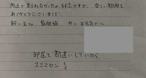 なんとお家の猫ちゃんが癒しになっていたのだとか!