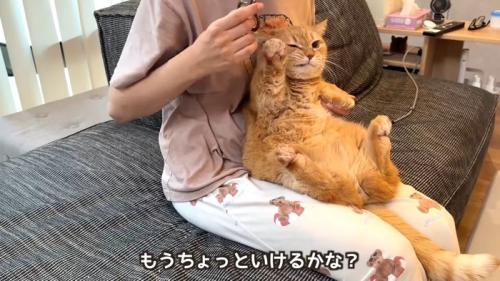 もうちょっといけるかな?