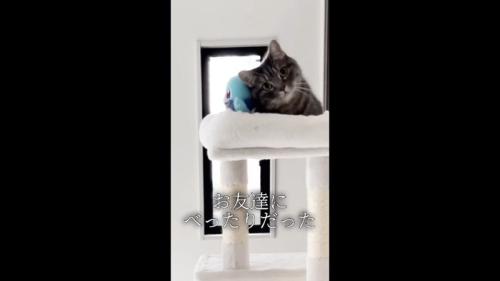 お友達にべったり
