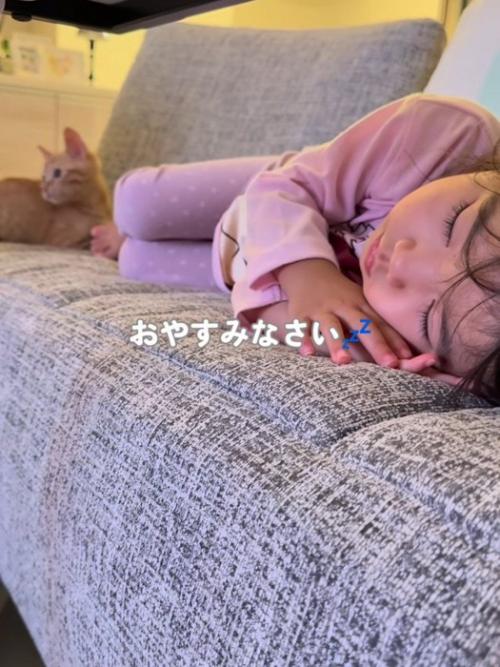 寝ている子どもの足元にいる子猫