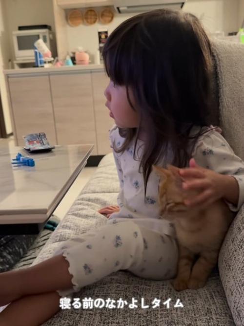 子どもになでられる子猫