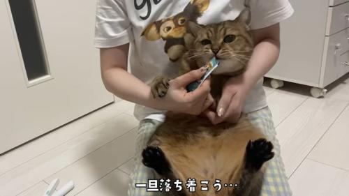 おやつを食べるみにらくん