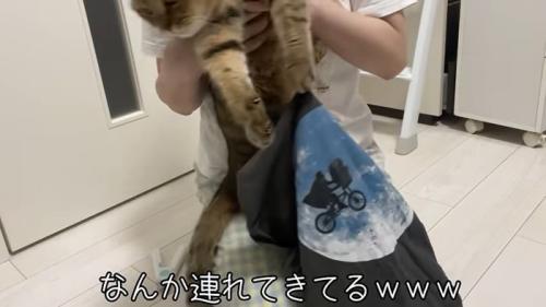 服をひっぱるみにらくん