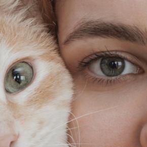猫が苦手に感じている『嫌いな色』3選 猫の目にはどう映っているの?