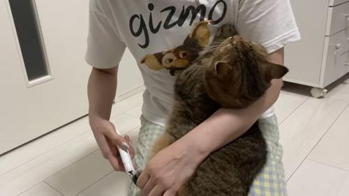 飼い主さんとの攻防戦
