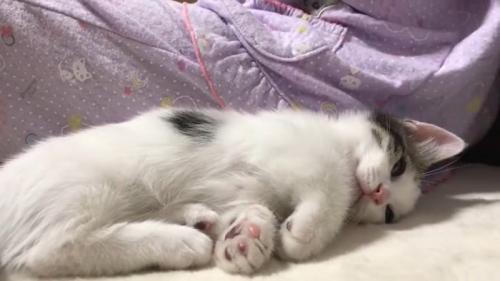 眠い