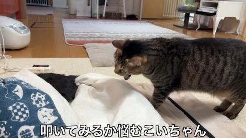 悩むこいちゃん