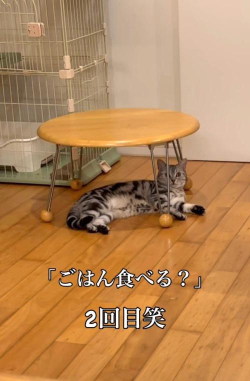 もう一度声をかけるパパ