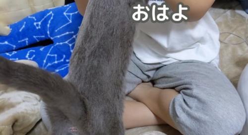 「おはよ」と書かれた写真