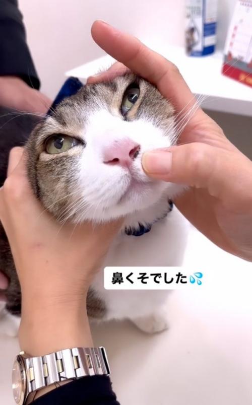 鼻の穴に付いた鼻くそ