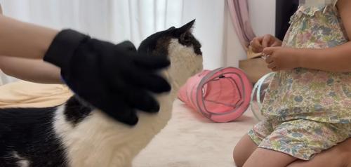 手袋、猫、おやつを持つ子ども
