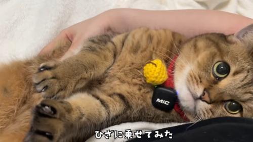 仰向け