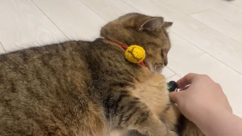 セット中