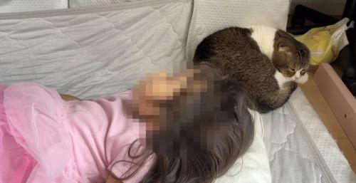 寝る猫と子ども