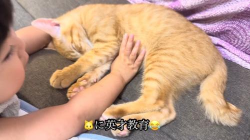 猫を寝かしつける女の子